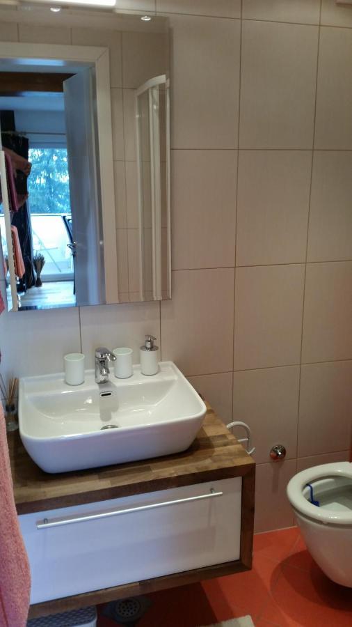 Apartman Ena ヴラシチ エクステリア 写真